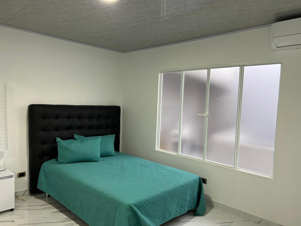 Apartment Black And White Tolima *
