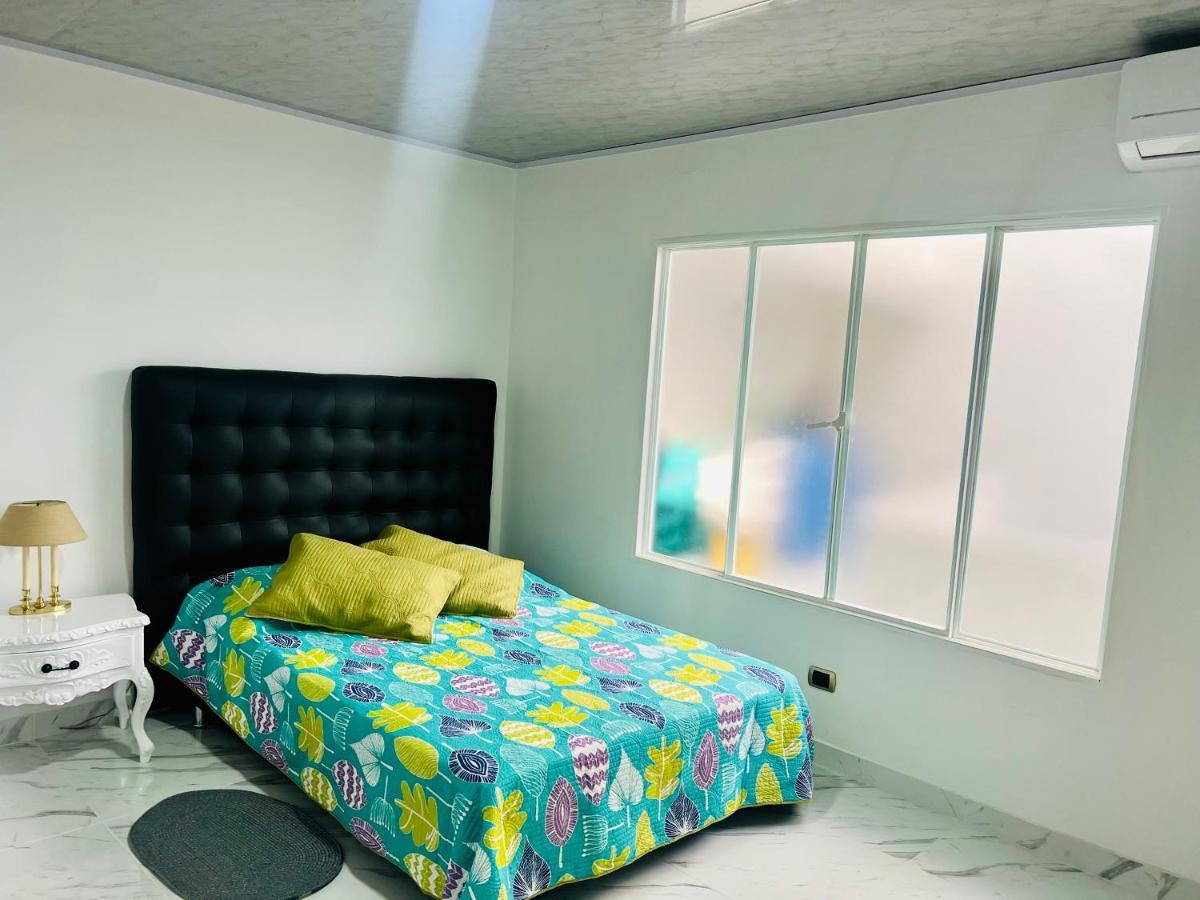 Apartment Black And White Tolima *